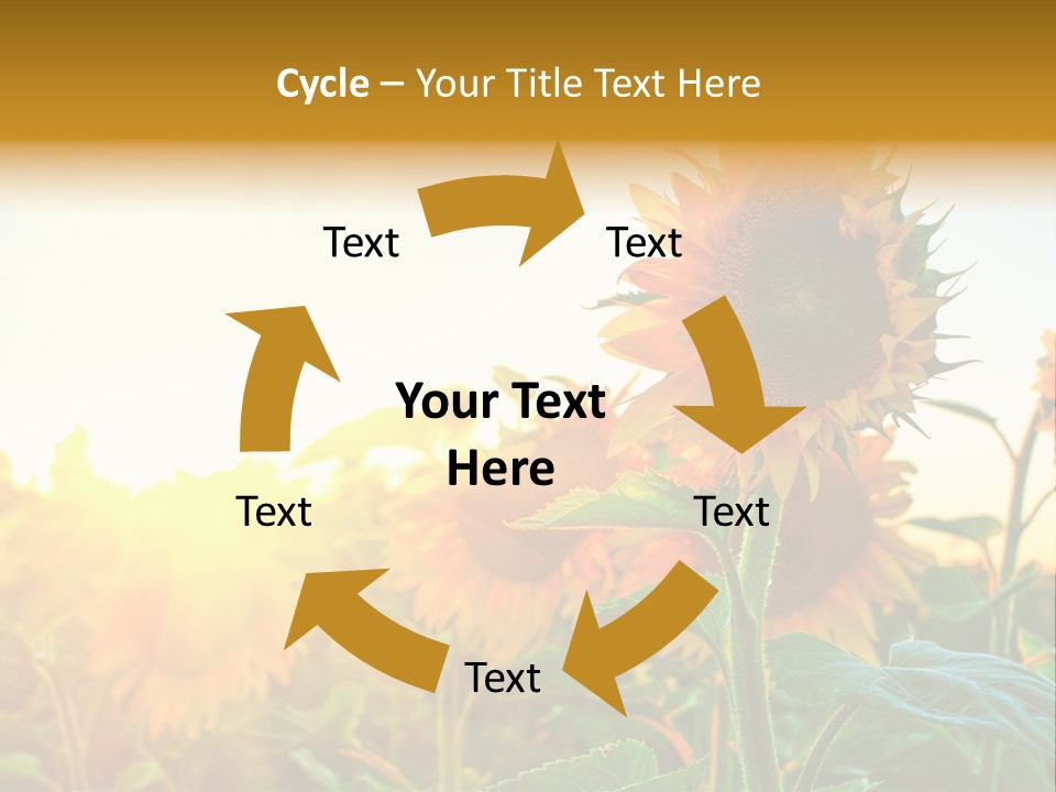 Sunflower Pollen Field PowerPoint Template