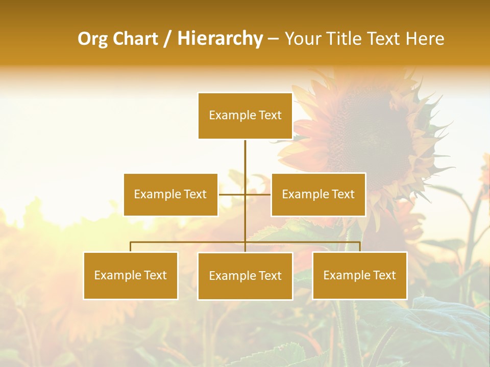 Sunflower Pollen Field PowerPoint Template