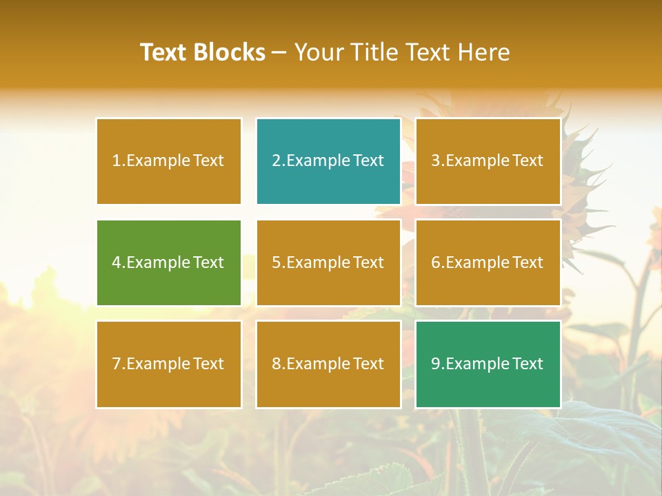 Sunflower Pollen Field PowerPoint Template
