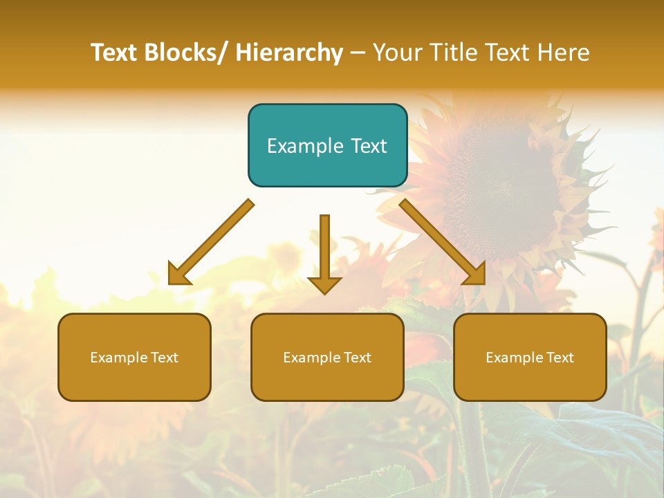 Sunflower Pollen Field PowerPoint Template