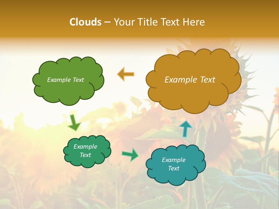 Sunflower Pollen Field PowerPoint Template
