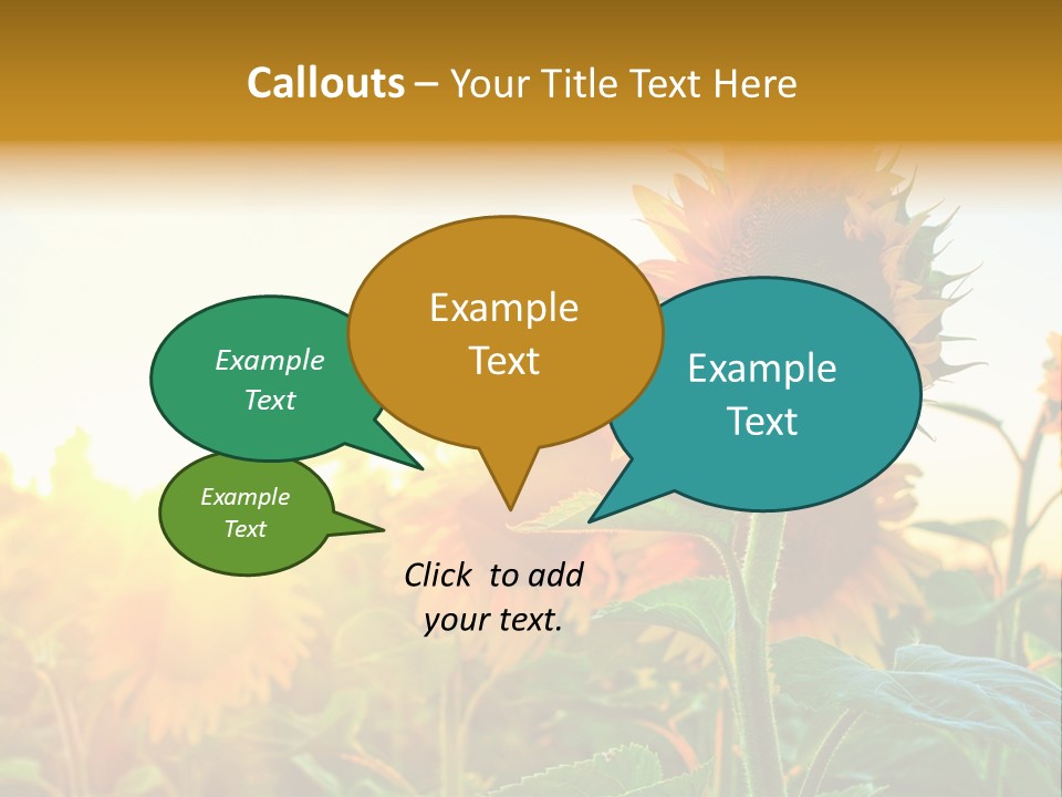 Sunflower Pollen Field PowerPoint Template