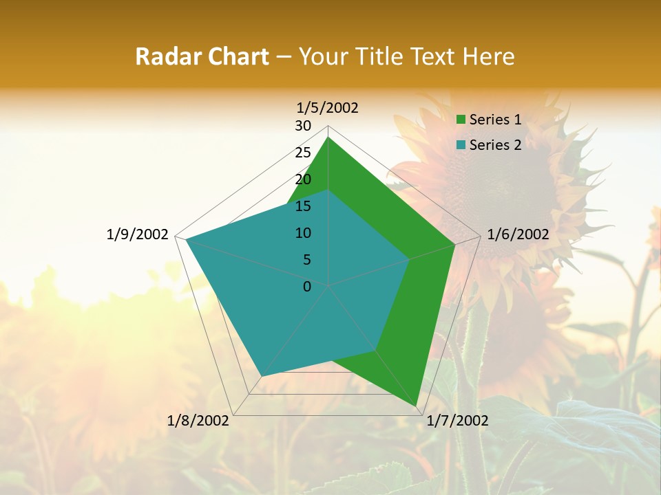 Sunflower Pollen Field PowerPoint Template
