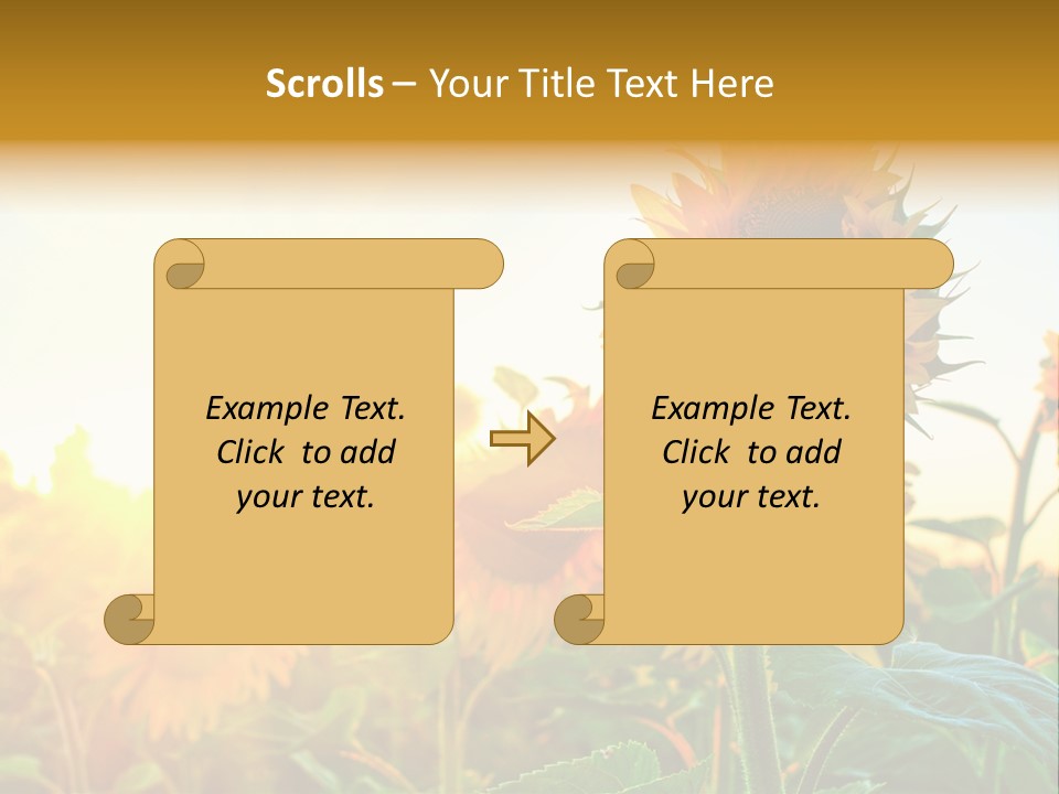 Sunflower Pollen Field PowerPoint Template