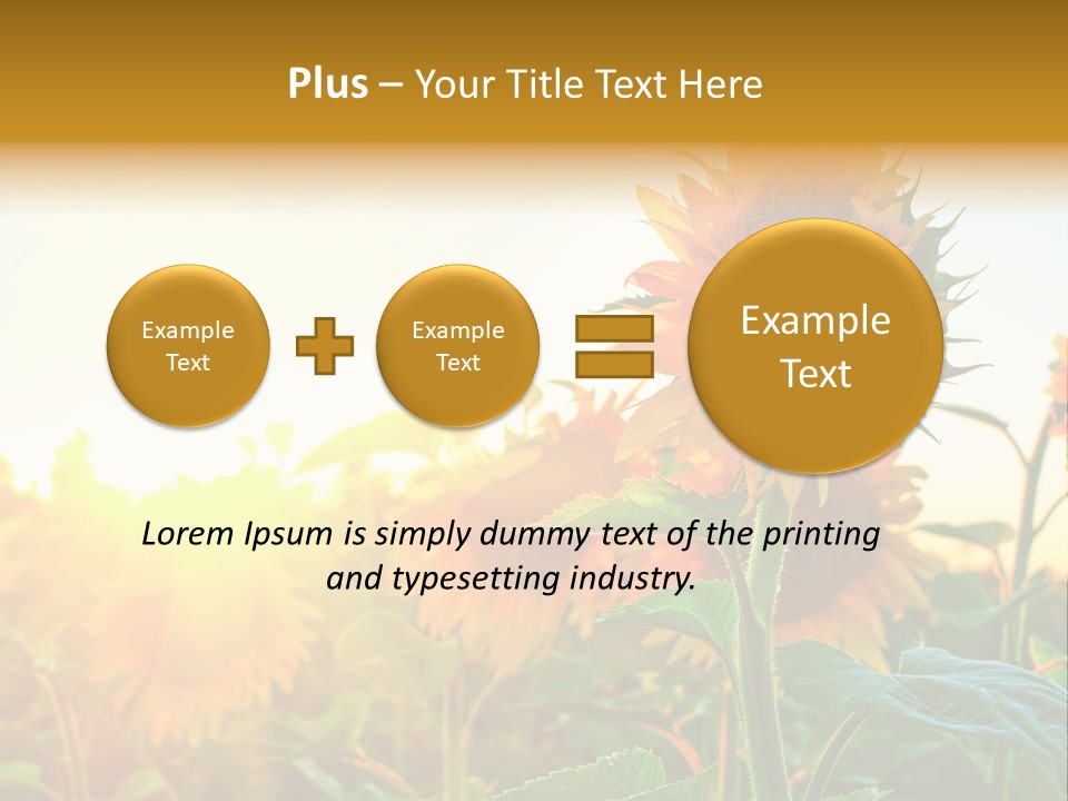 Sunflower Pollen Field PowerPoint Template