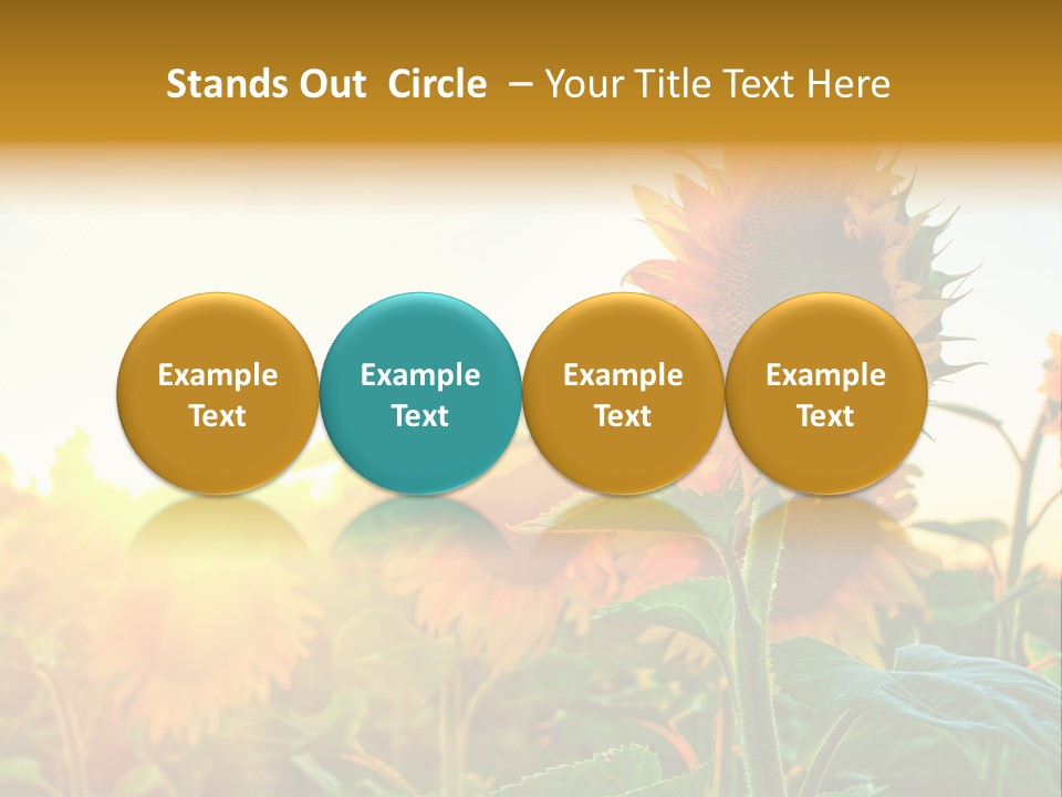Sunflower Pollen Field PowerPoint Template