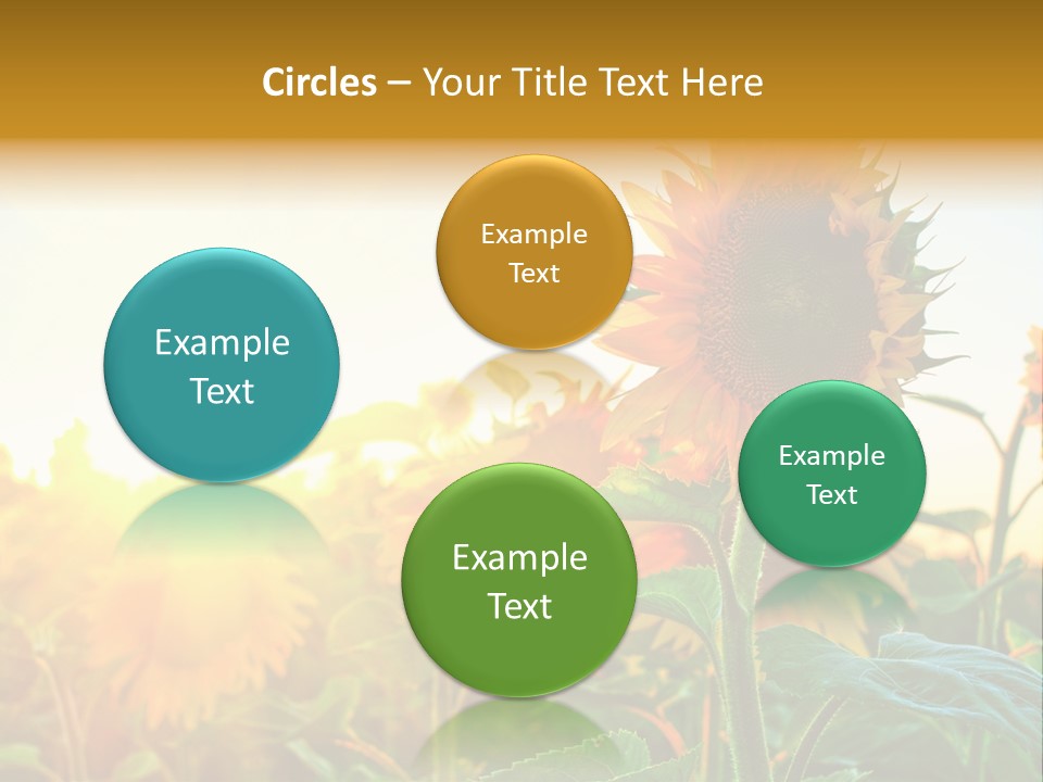 Sunflower Pollen Field PowerPoint Template