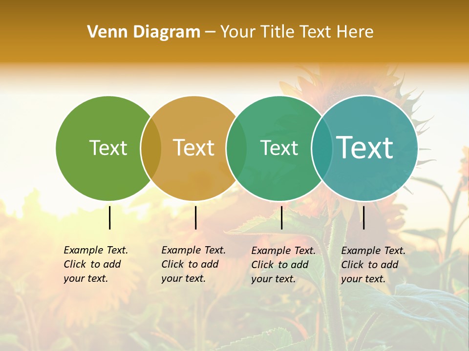 Sunflower Pollen Field PowerPoint Template