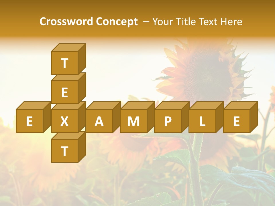 Sunflower Pollen Field PowerPoint Template