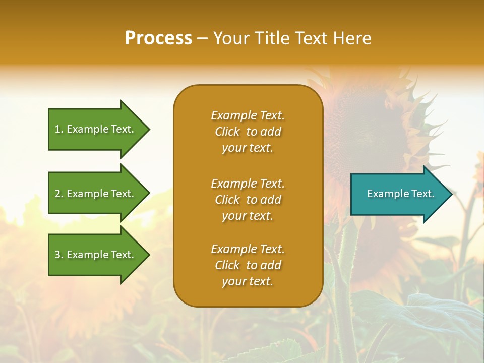 Sunflower Pollen Field PowerPoint Template