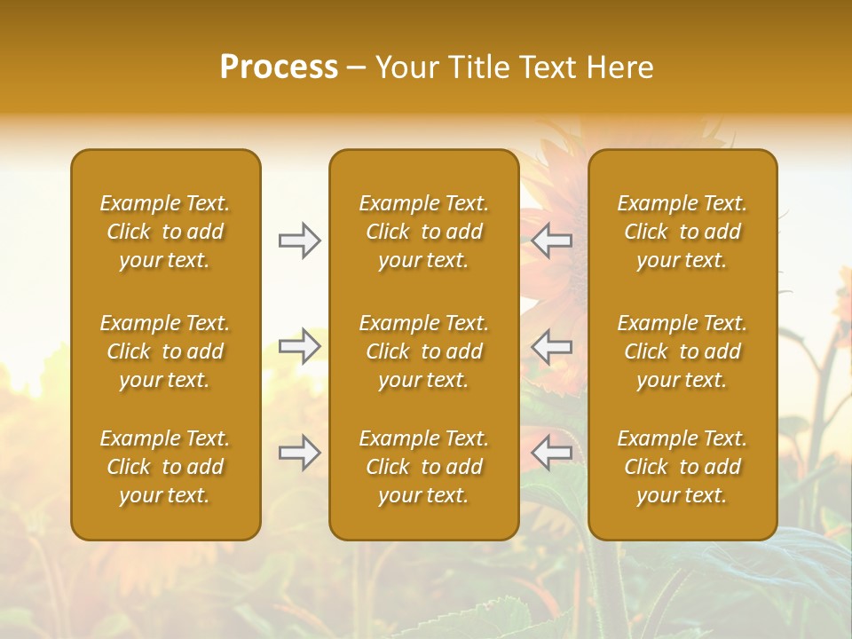 Sunflower Pollen Field PowerPoint Template