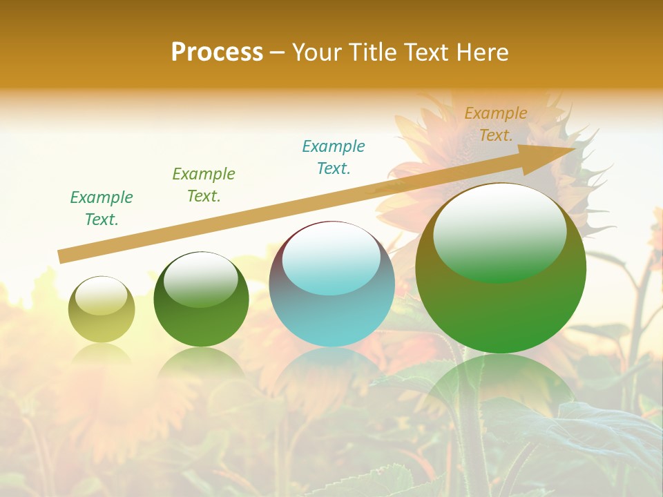 Sunflower Pollen Field PowerPoint Template