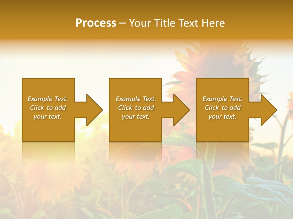 Sunflower Pollen Field PowerPoint Template
