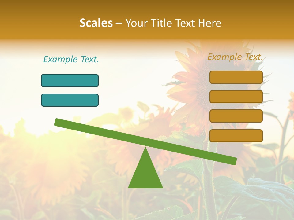 Sunflower Pollen Field PowerPoint Template