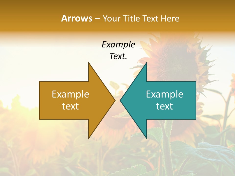 Sunflower Pollen Field PowerPoint Template