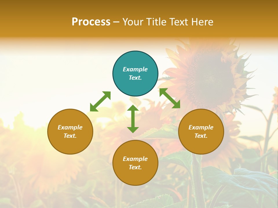 Sunflower Pollen Field PowerPoint Template