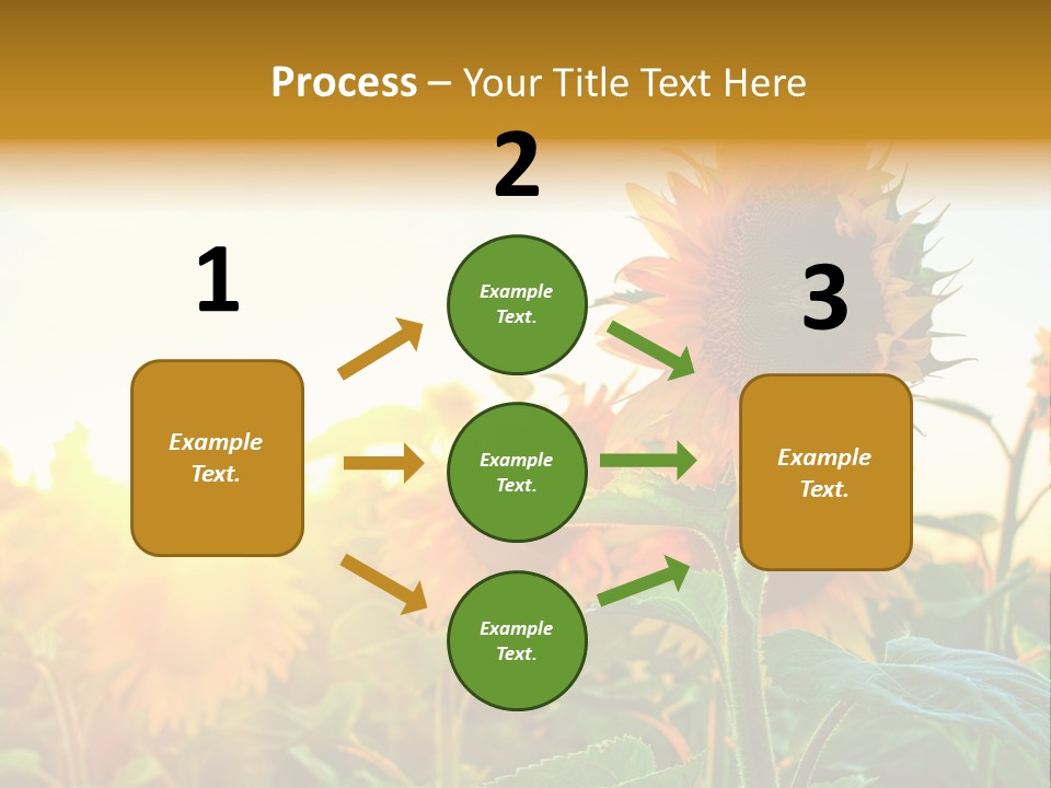 Sunflower Pollen Field PowerPoint Template