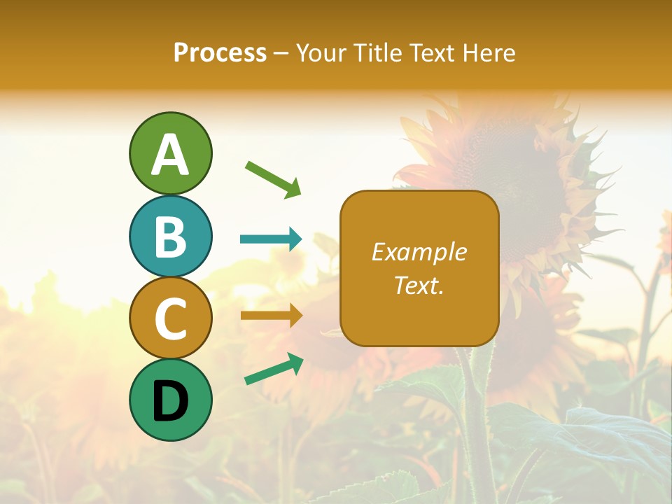 Sunflower Pollen Field PowerPoint Template