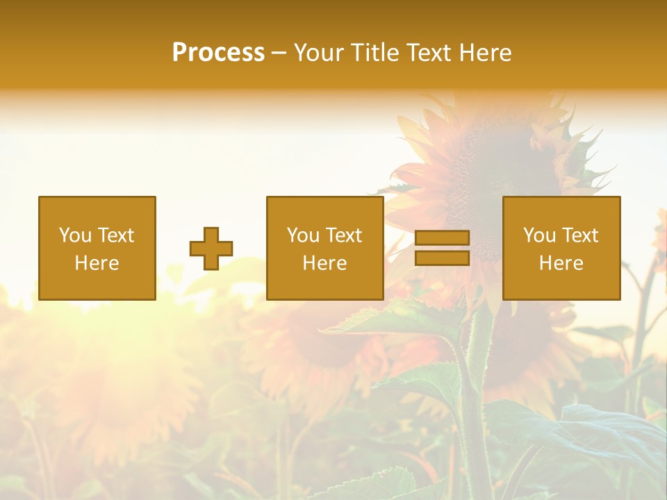 Sunflower Pollen Field PowerPoint Template