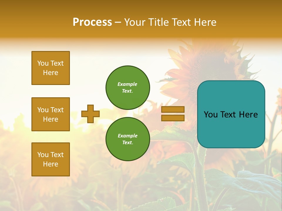 Sunflower Pollen Field PowerPoint Template