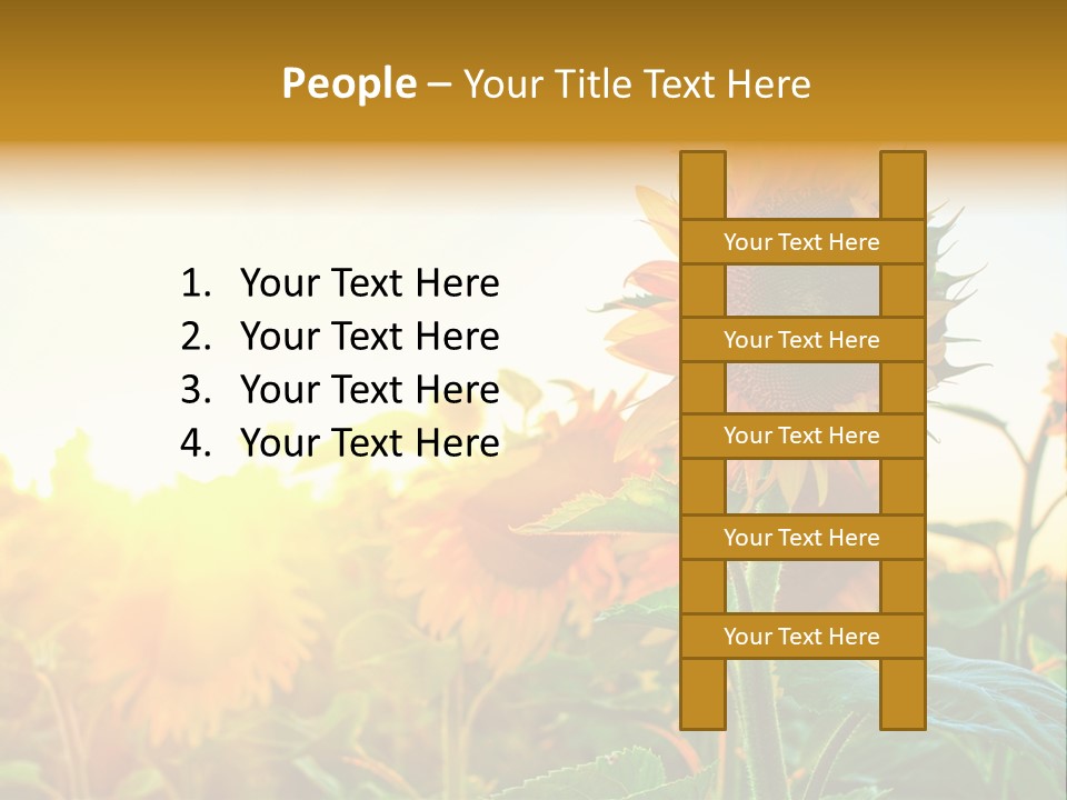 Sunflower Pollen Field PowerPoint Template