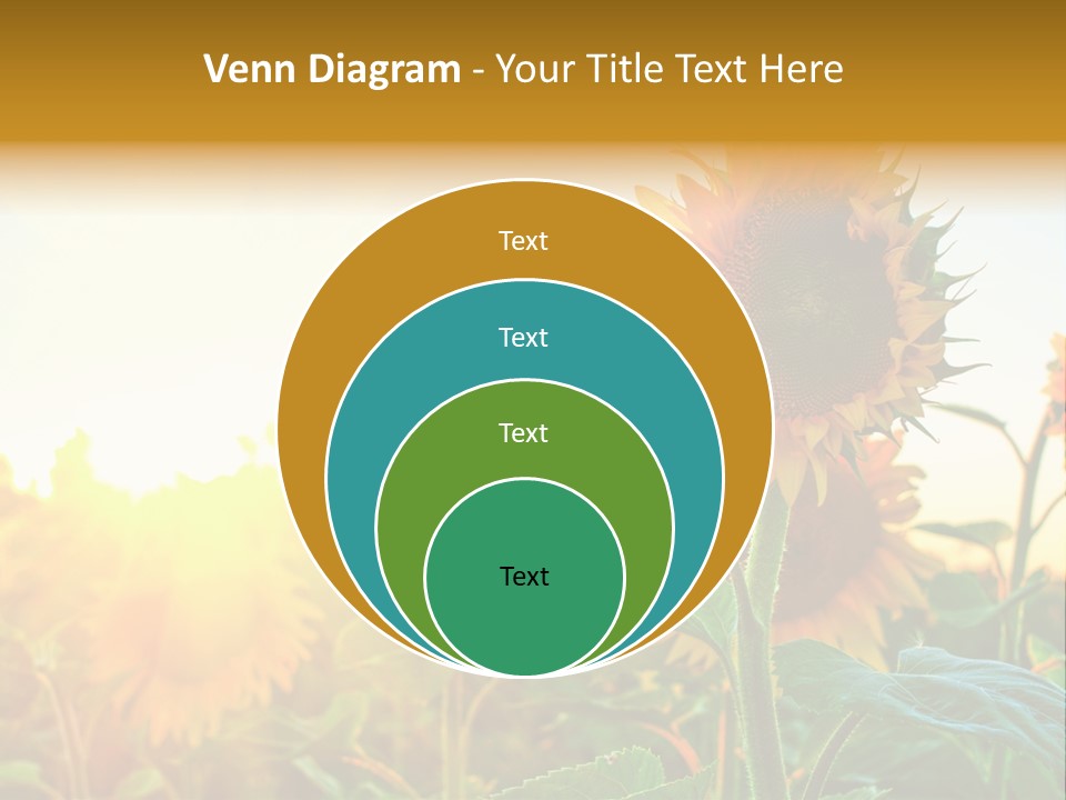 Sunflower Pollen Field PowerPoint Template