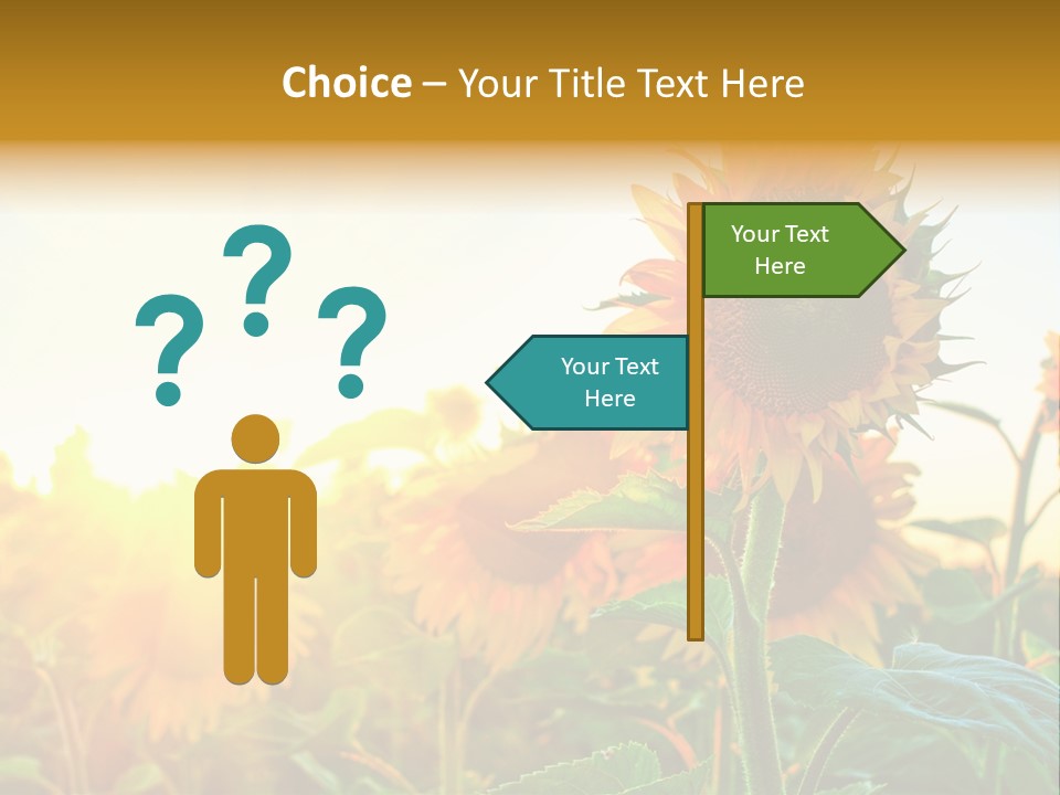 Sunflower Pollen Field PowerPoint Template
