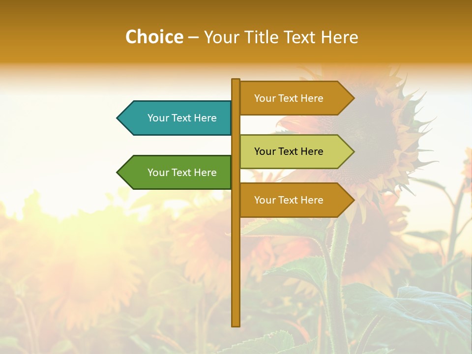 Sunflower Pollen Field PowerPoint Template