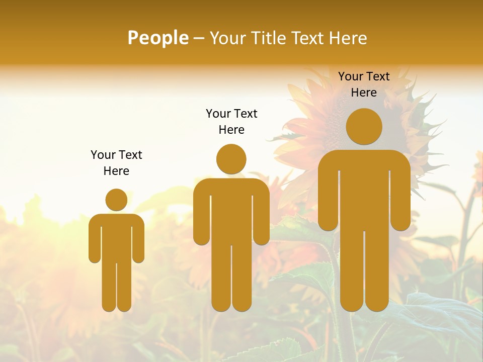 Sunflower Pollen Field PowerPoint Template