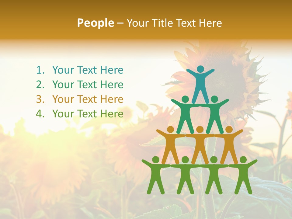 Sunflower Pollen Field PowerPoint Template