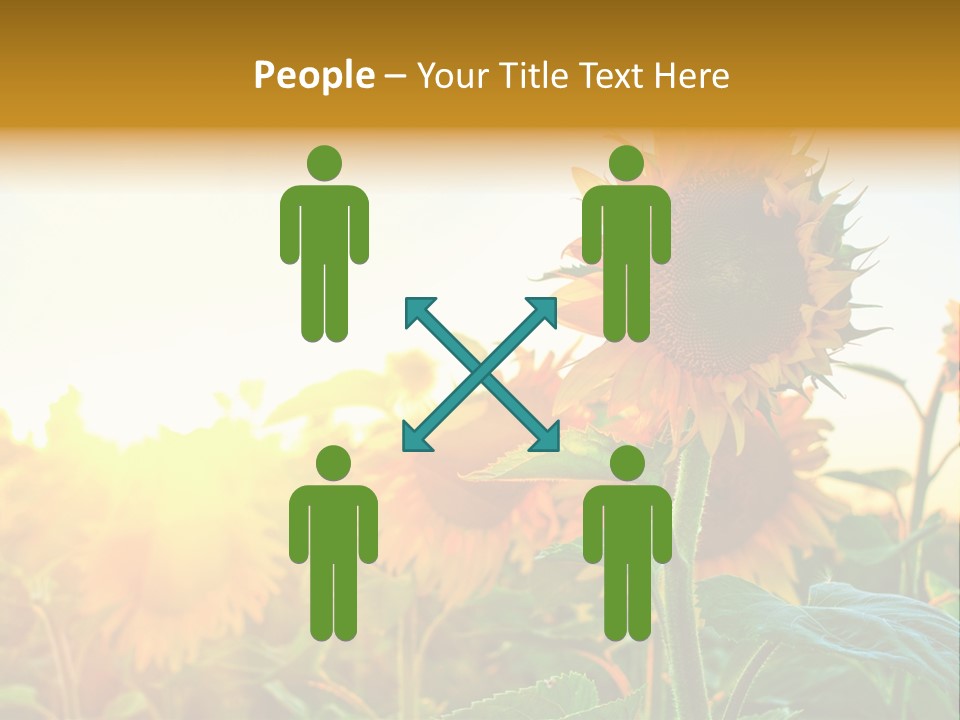 Sunflower Pollen Field PowerPoint Template