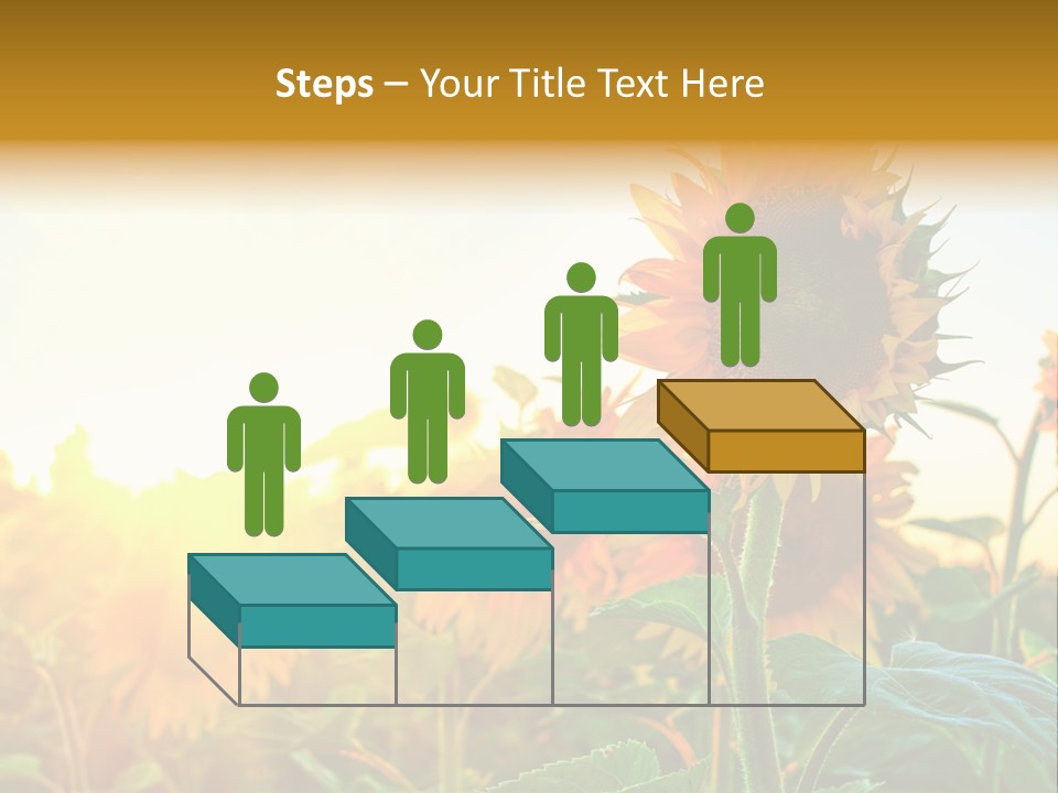 Sunflower Pollen Field PowerPoint Template