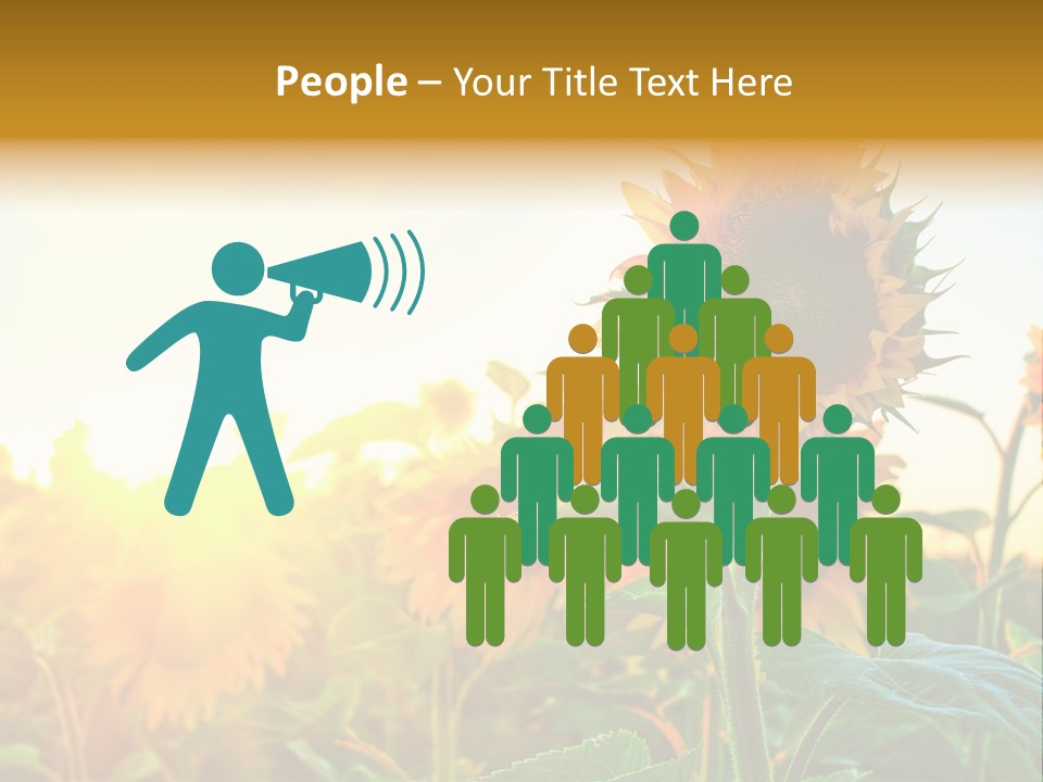 Sunflower Pollen Field PowerPoint Template