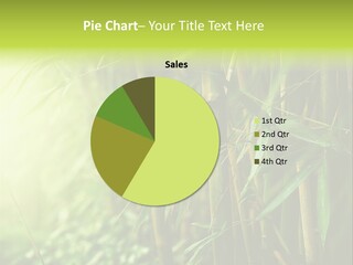 Asia Branch Forest PowerPoint Template