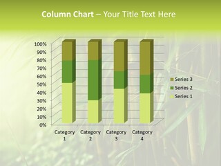 Asia Branch Forest PowerPoint Template