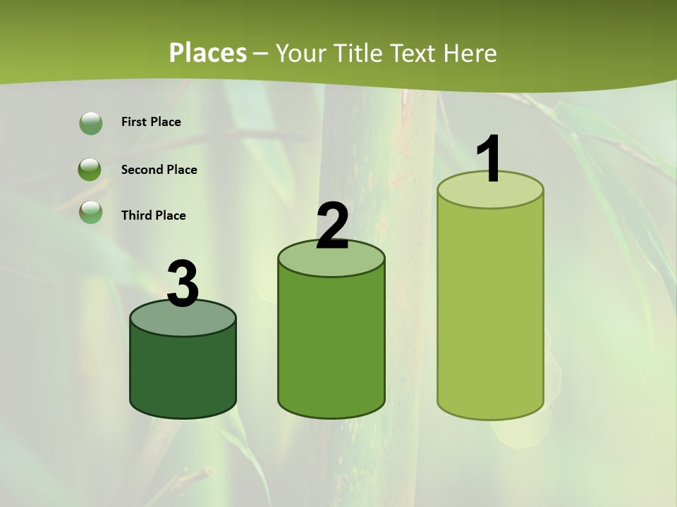 Background East Forest PowerPoint Template