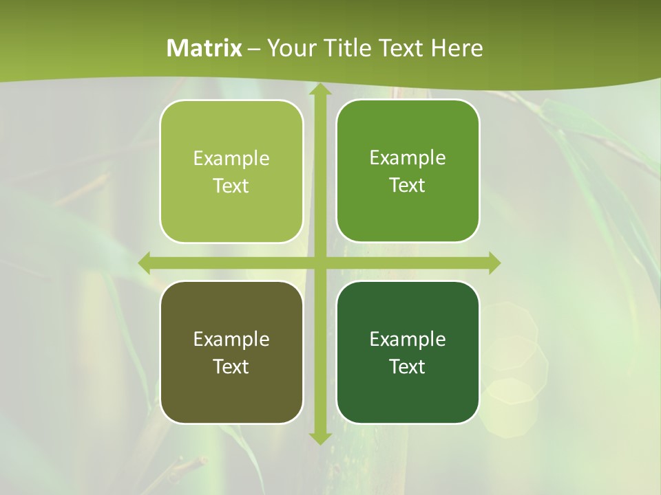 Background East Forest PowerPoint Template