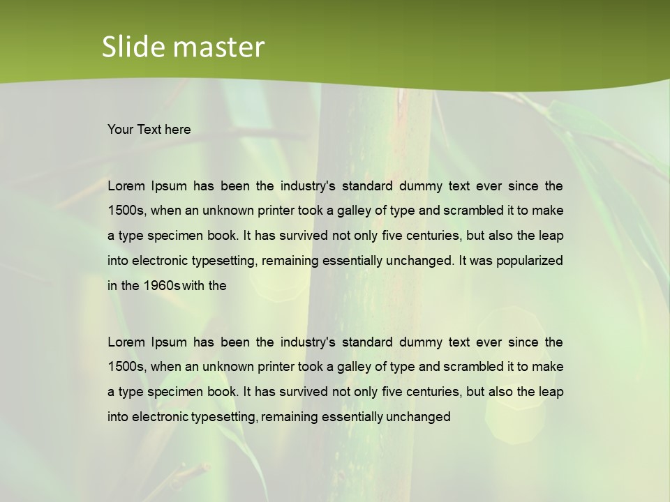 Background East Forest PowerPoint Template