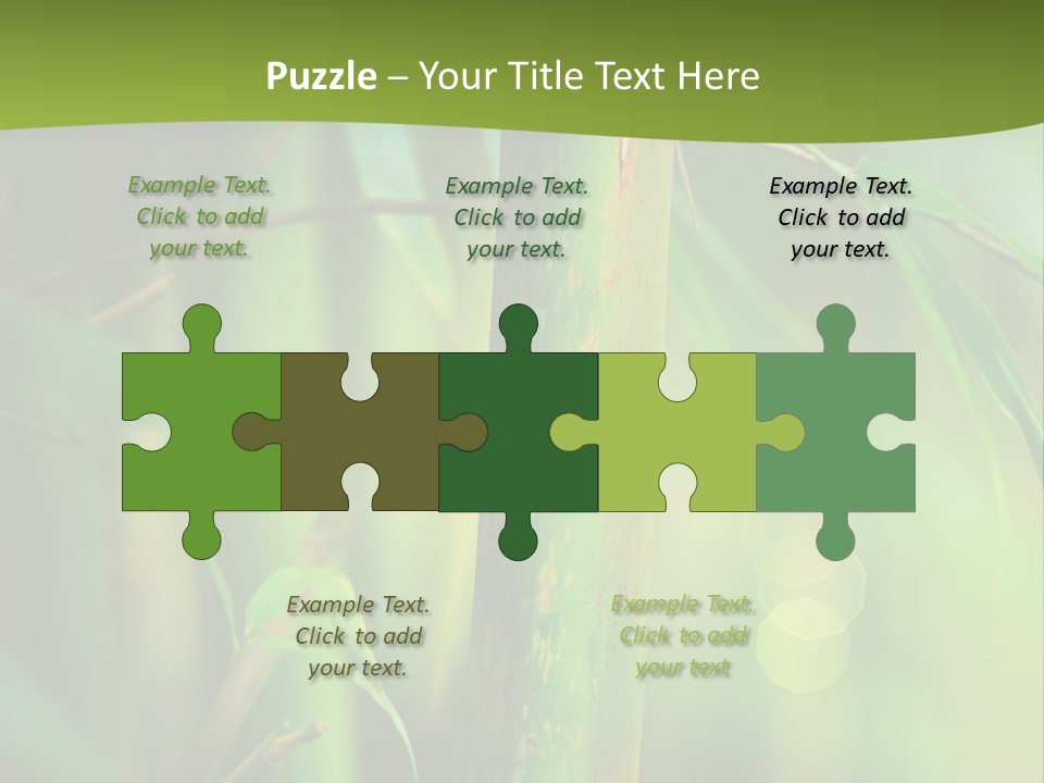 Background East Forest PowerPoint Template