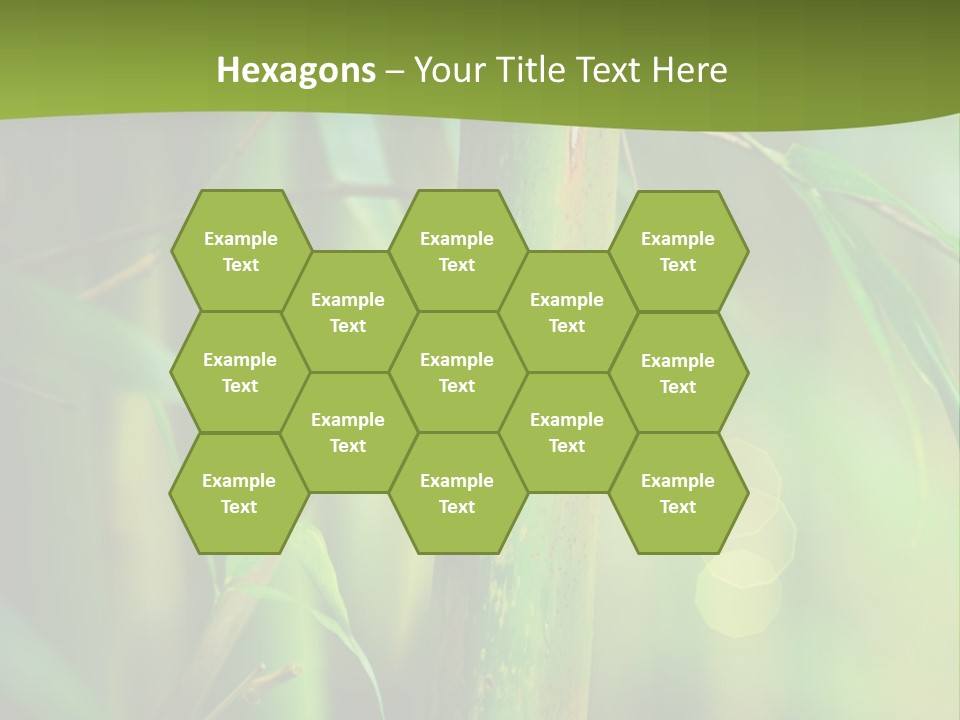 Background East Forest PowerPoint Template