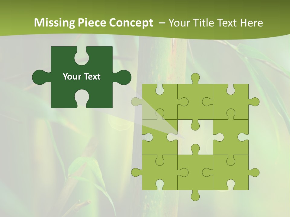 Background East Forest PowerPoint Template