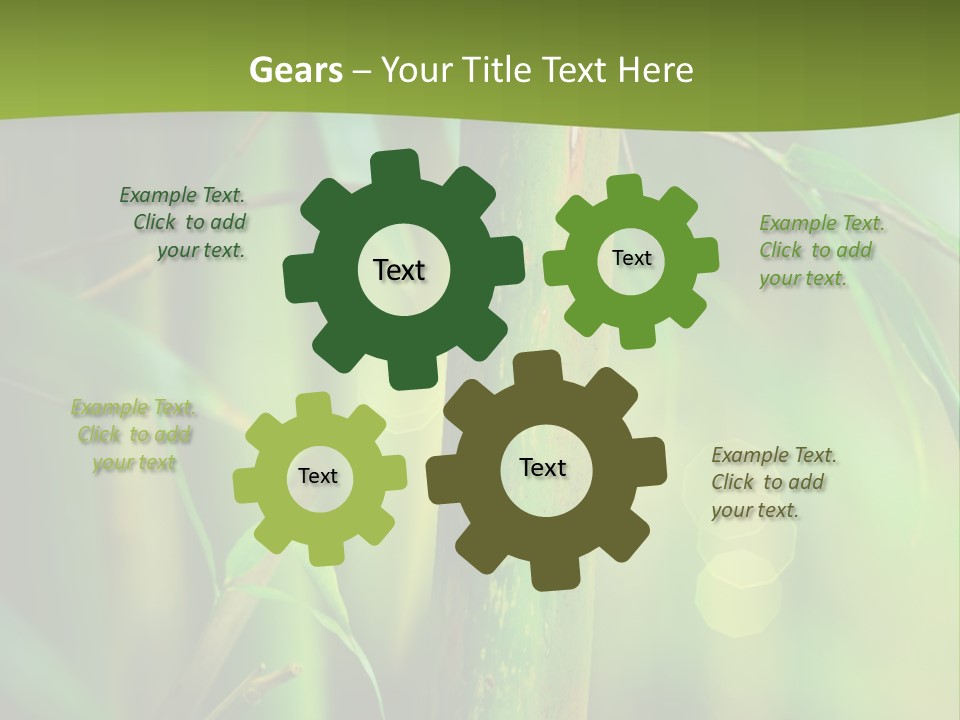 Background East Forest PowerPoint Template