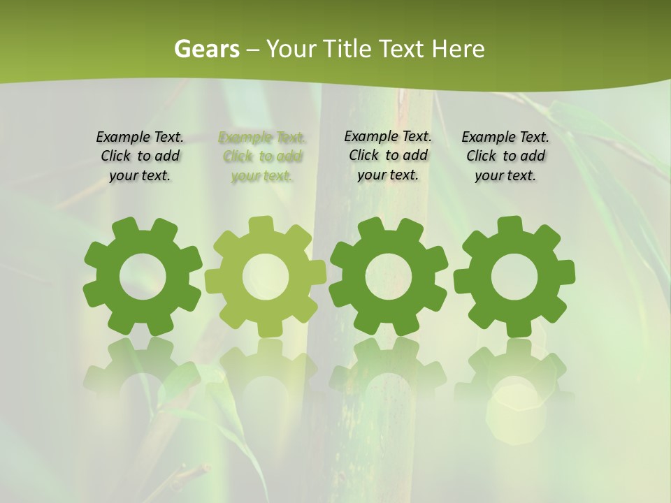 Background East Forest PowerPoint Template