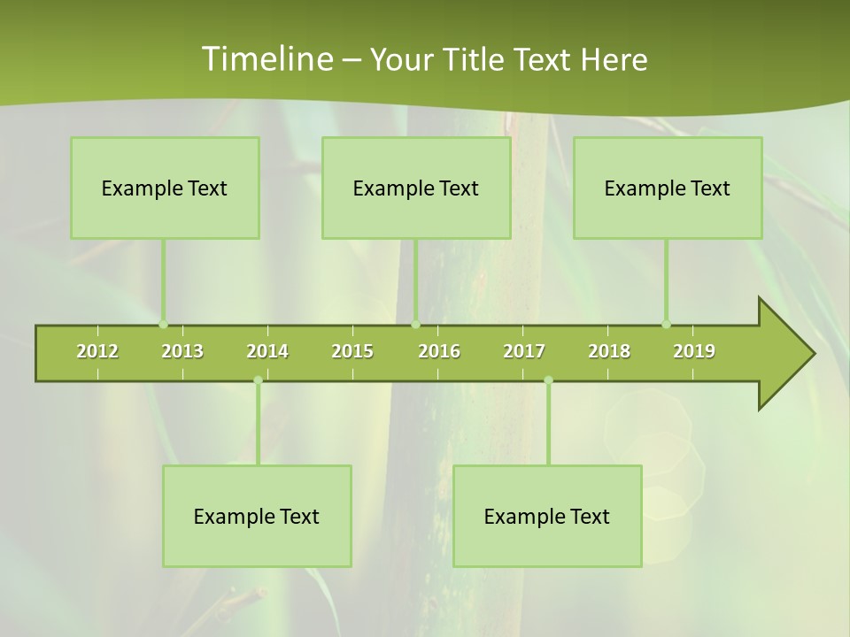 Background East Forest PowerPoint Template