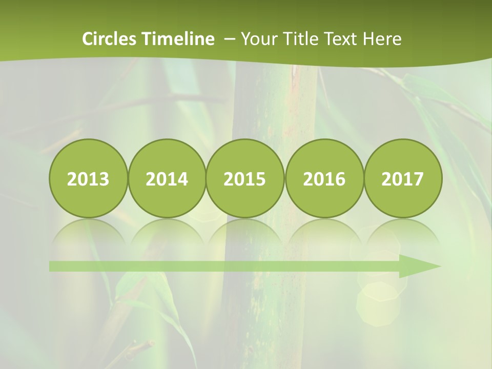 Background East Forest PowerPoint Template