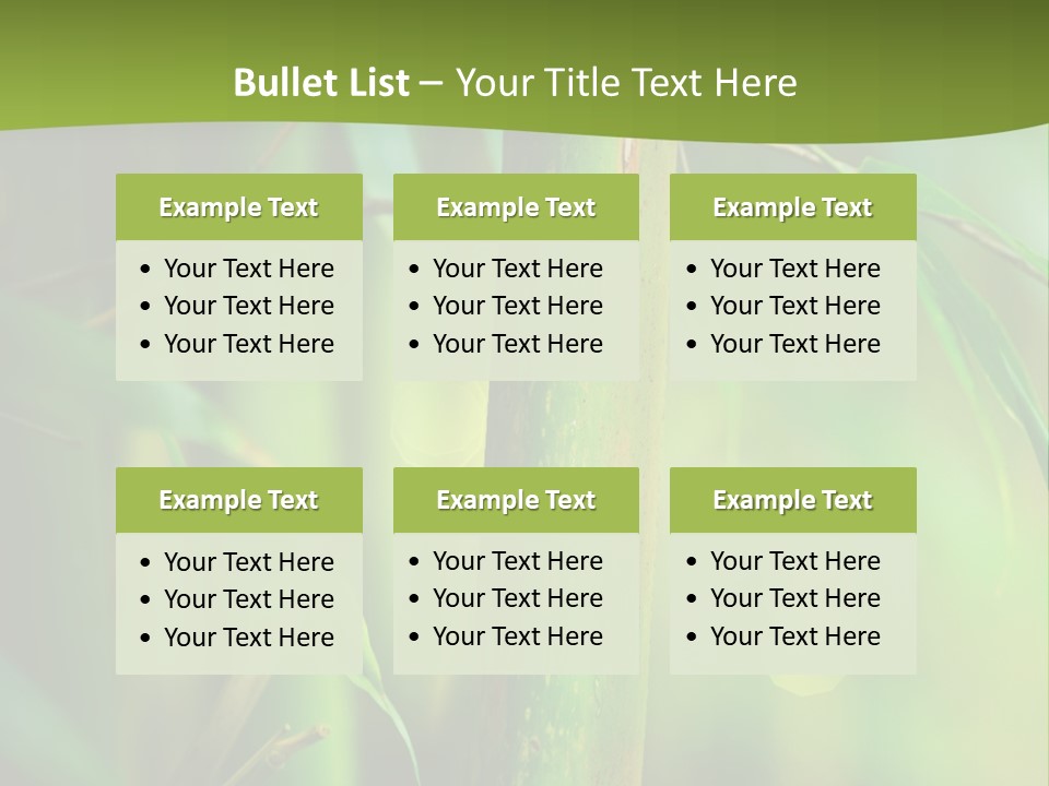 Background East Forest PowerPoint Template