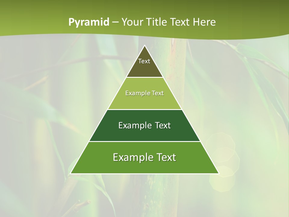 Background East Forest PowerPoint Template