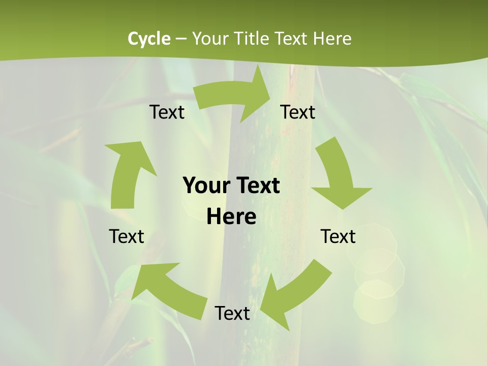 Background East Forest PowerPoint Template