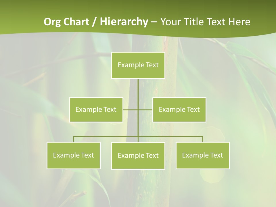 Background East Forest PowerPoint Template