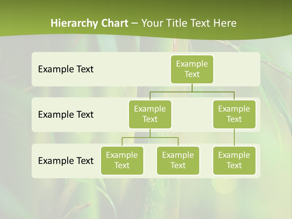 Background East Forest PowerPoint Template
